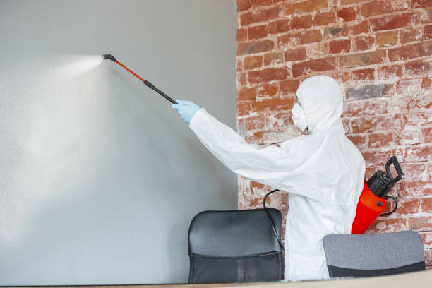 Best Mold Documentation for Insurance Claims  in Stedman, NC
