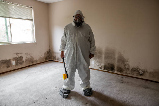 Best Air Quality Testing for Mold Spores  in Stedman, NC
